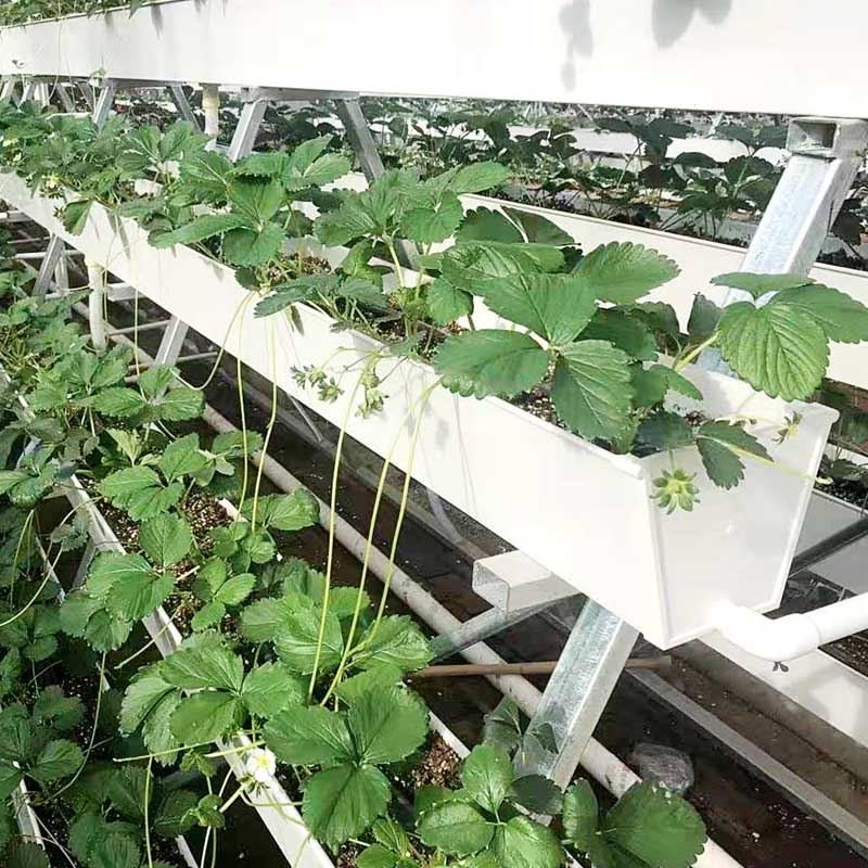 PVC planting gutter.jpg