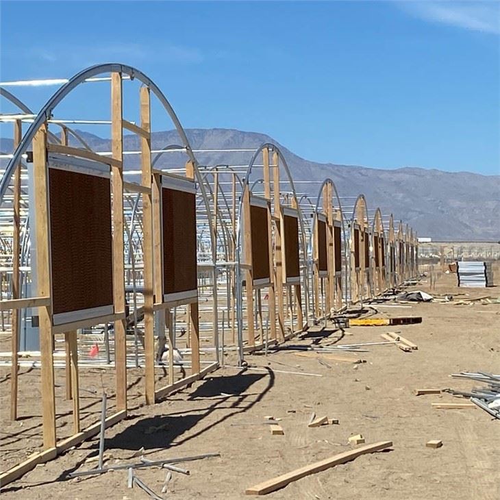 Double Film Tunnel Greenhouse For USA