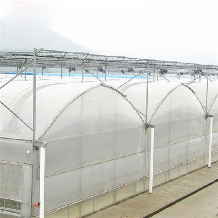 Jianda Greenhouse