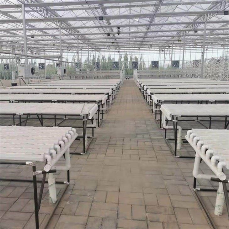 Hydroponics Vertical Farming