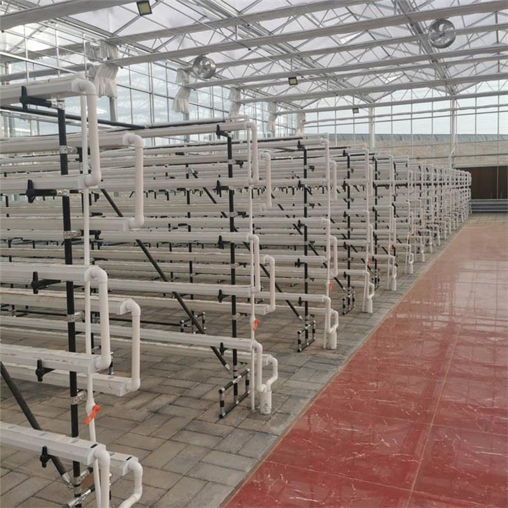 Hydroponics Vertical Farming