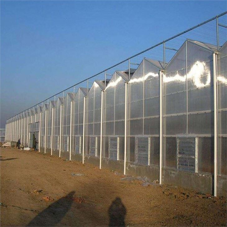 PC Greenhouse For Agriculture