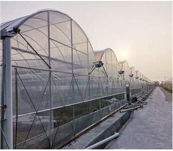 Ventilation des serres