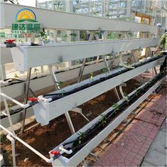 Système de gouttière à légumes hydroponique