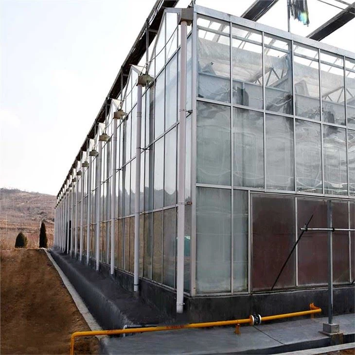 Venlo Agriculture Glass Greenhouse