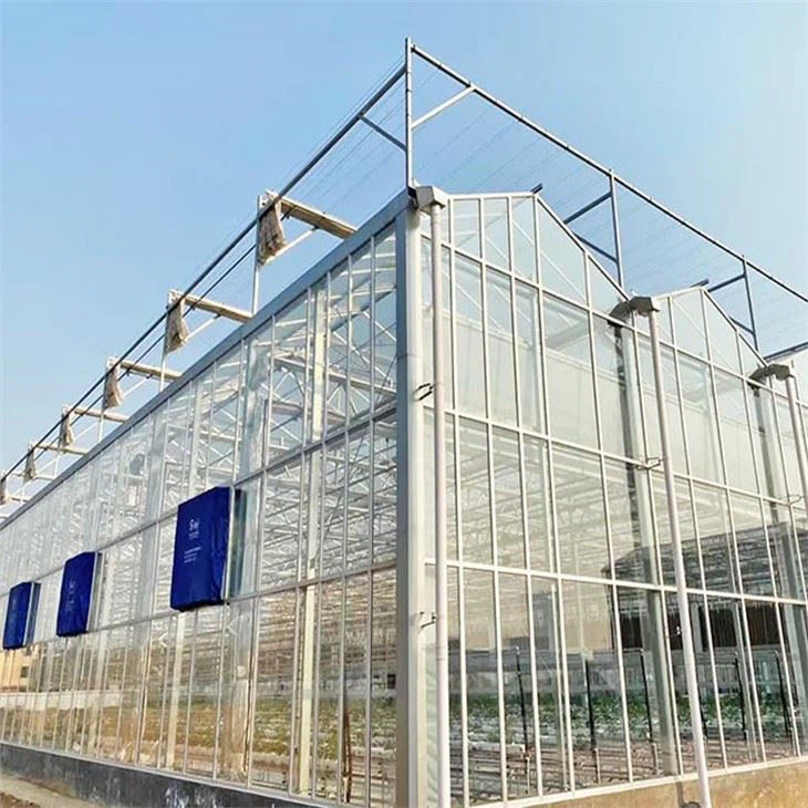Industrial Greenhouses From China