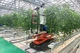 Équipement green houses