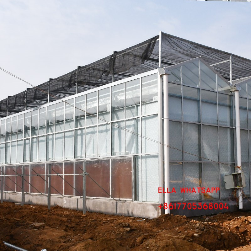 glasshouse glasshouse