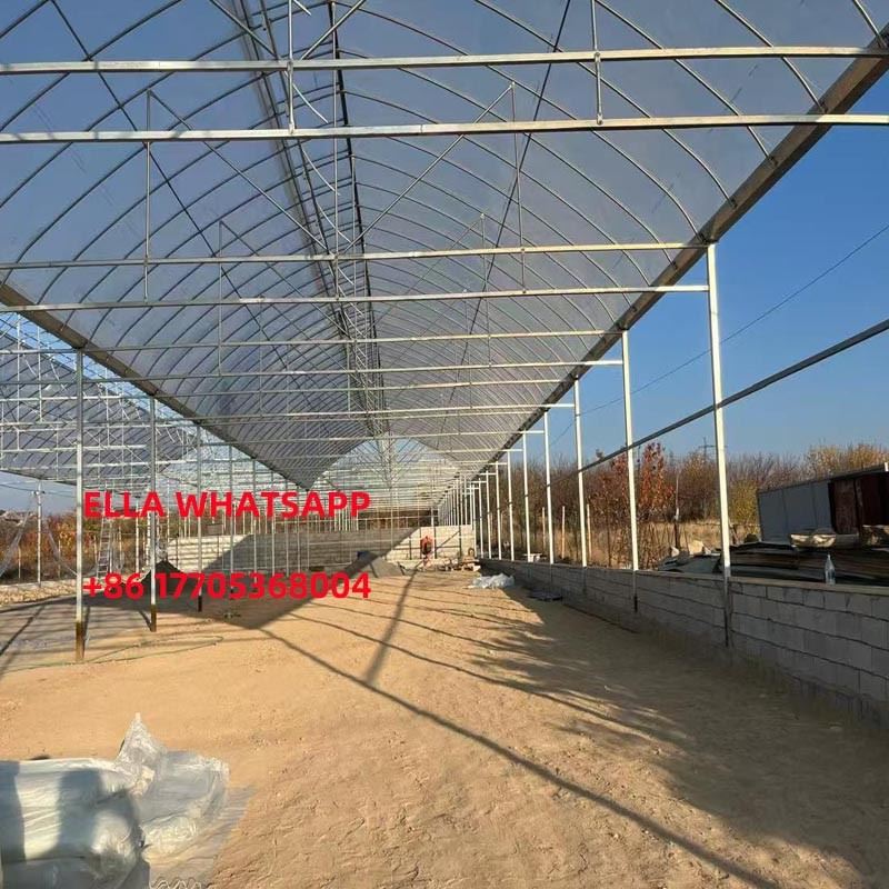 Multi Span Film Gothic Greenhouse best