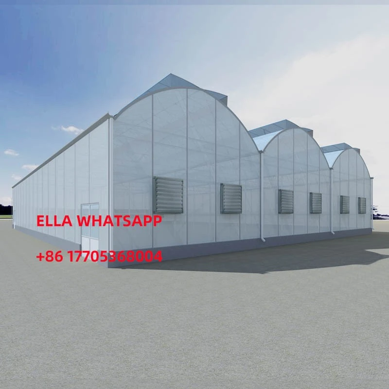 Multi Span Film Gothic Greenhouse factory