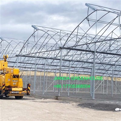 Greenhouse de type gothique avec fenêtres de ventilation de toit papillon