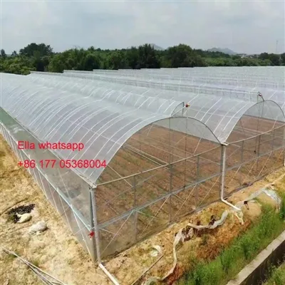 La serre à arche innovante de Jianda en Norvège