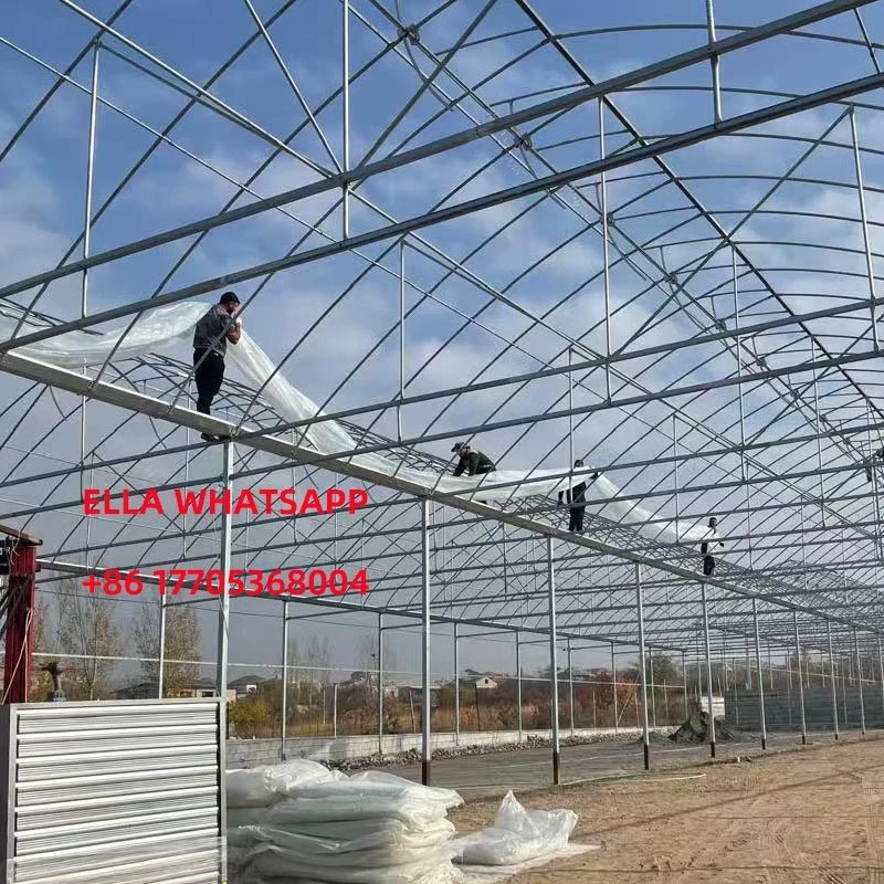 gothic greenhouse gothic greenhouse
